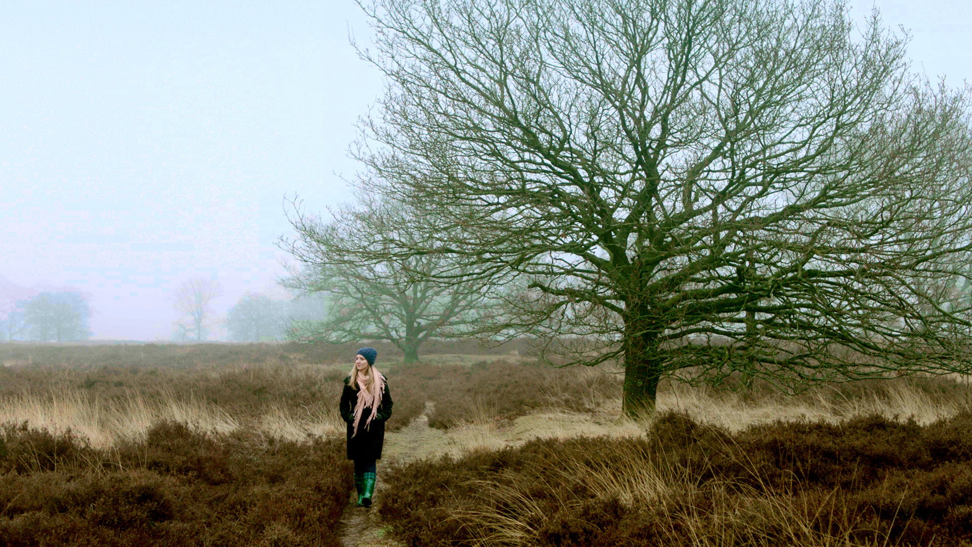 bg-image-high-res