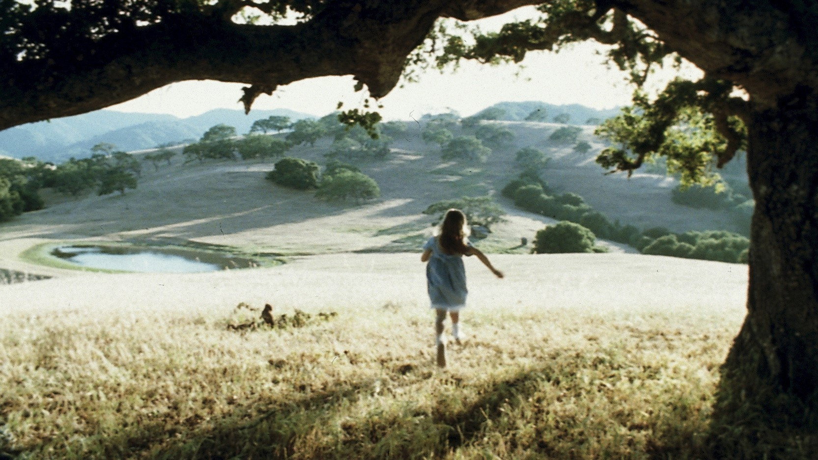 bg-image-high-res