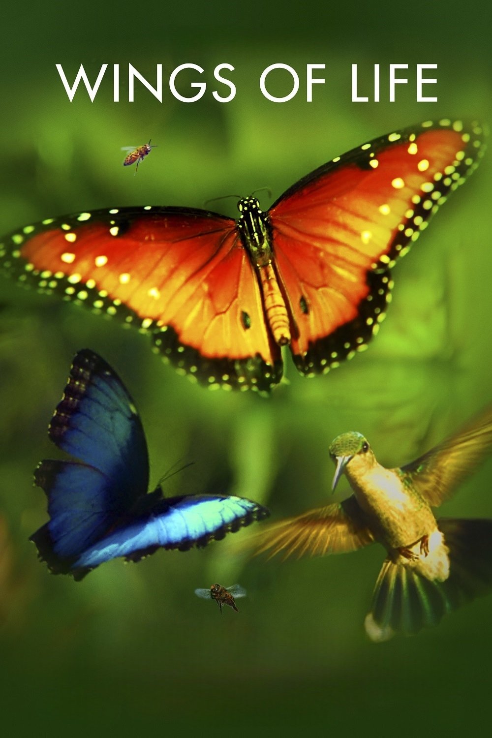 Wings of Life