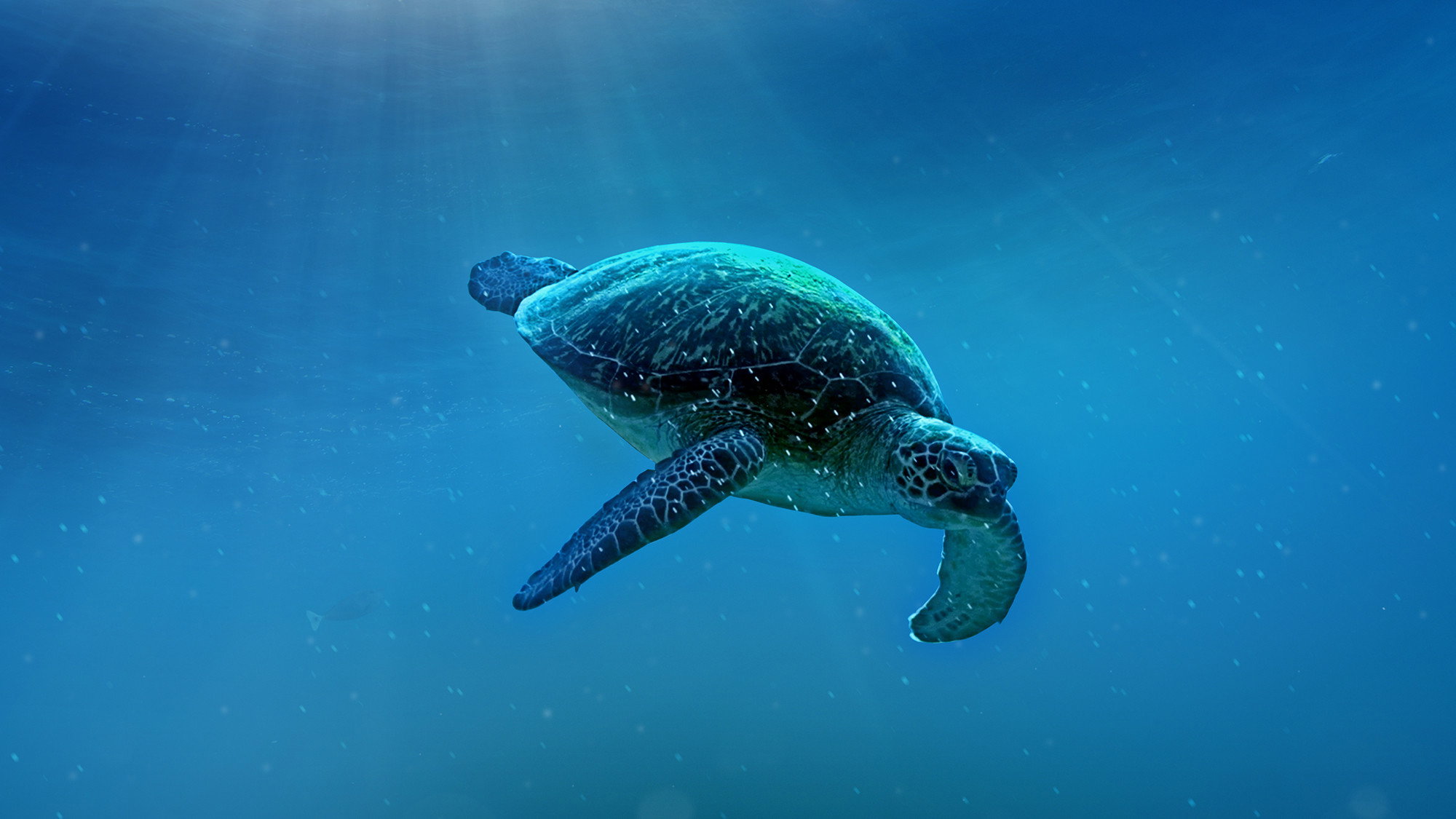 bg-image-high-res