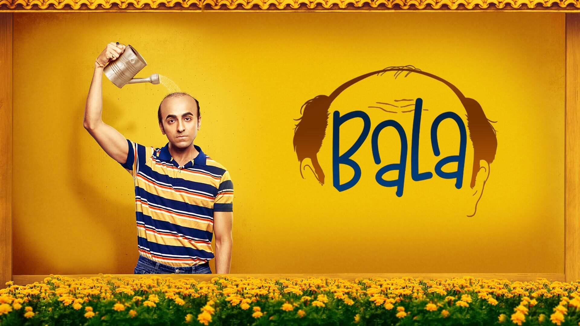 bg-image-high-res
