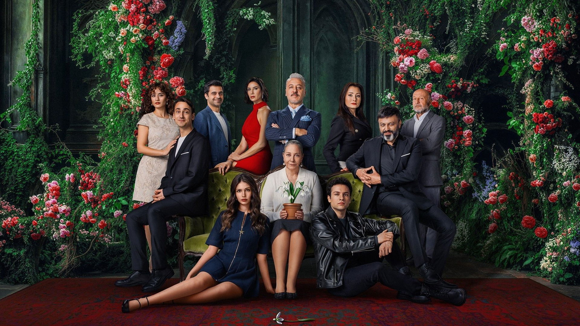 bg-image-high-res
