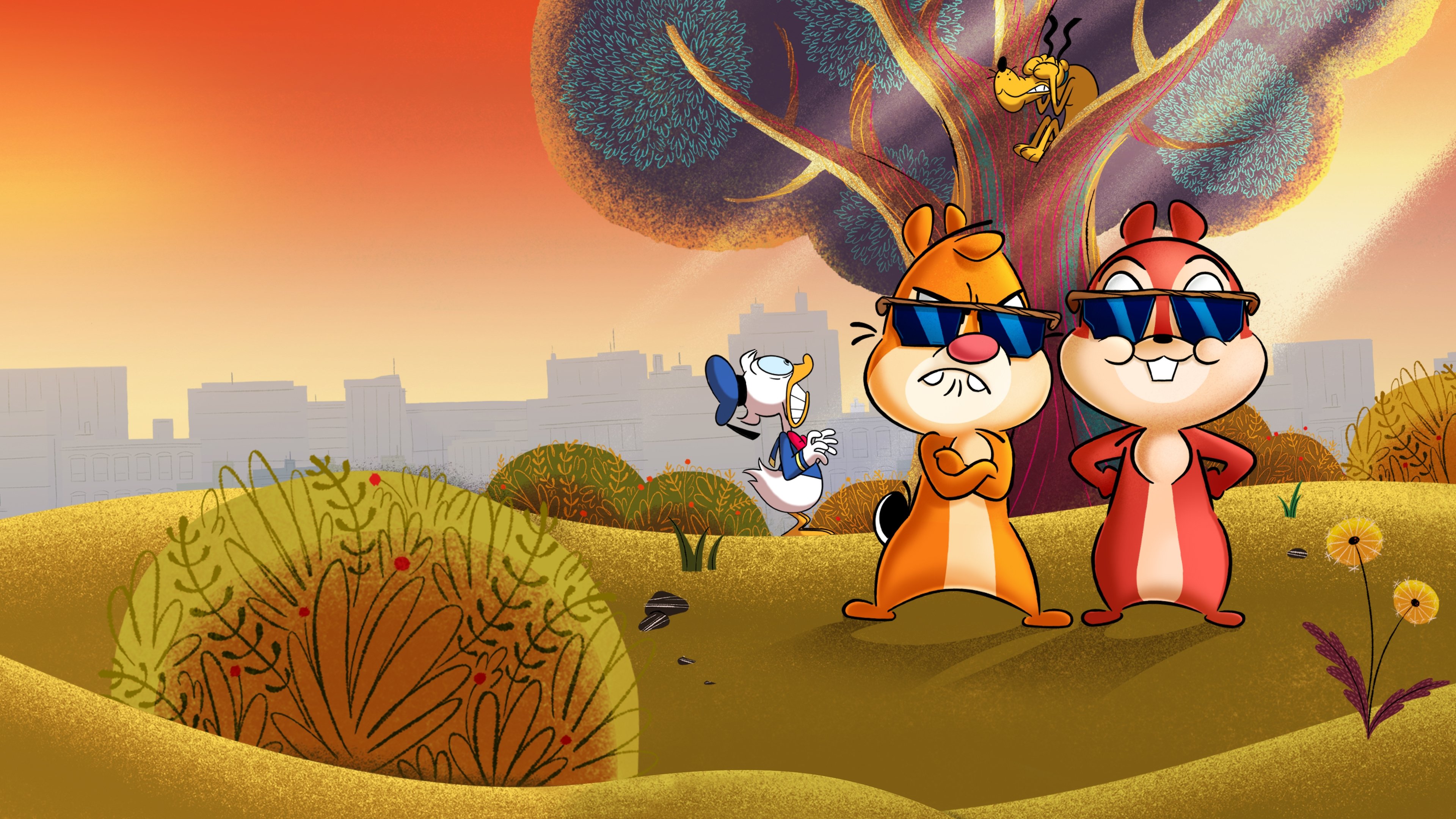 bg-image-high-res
