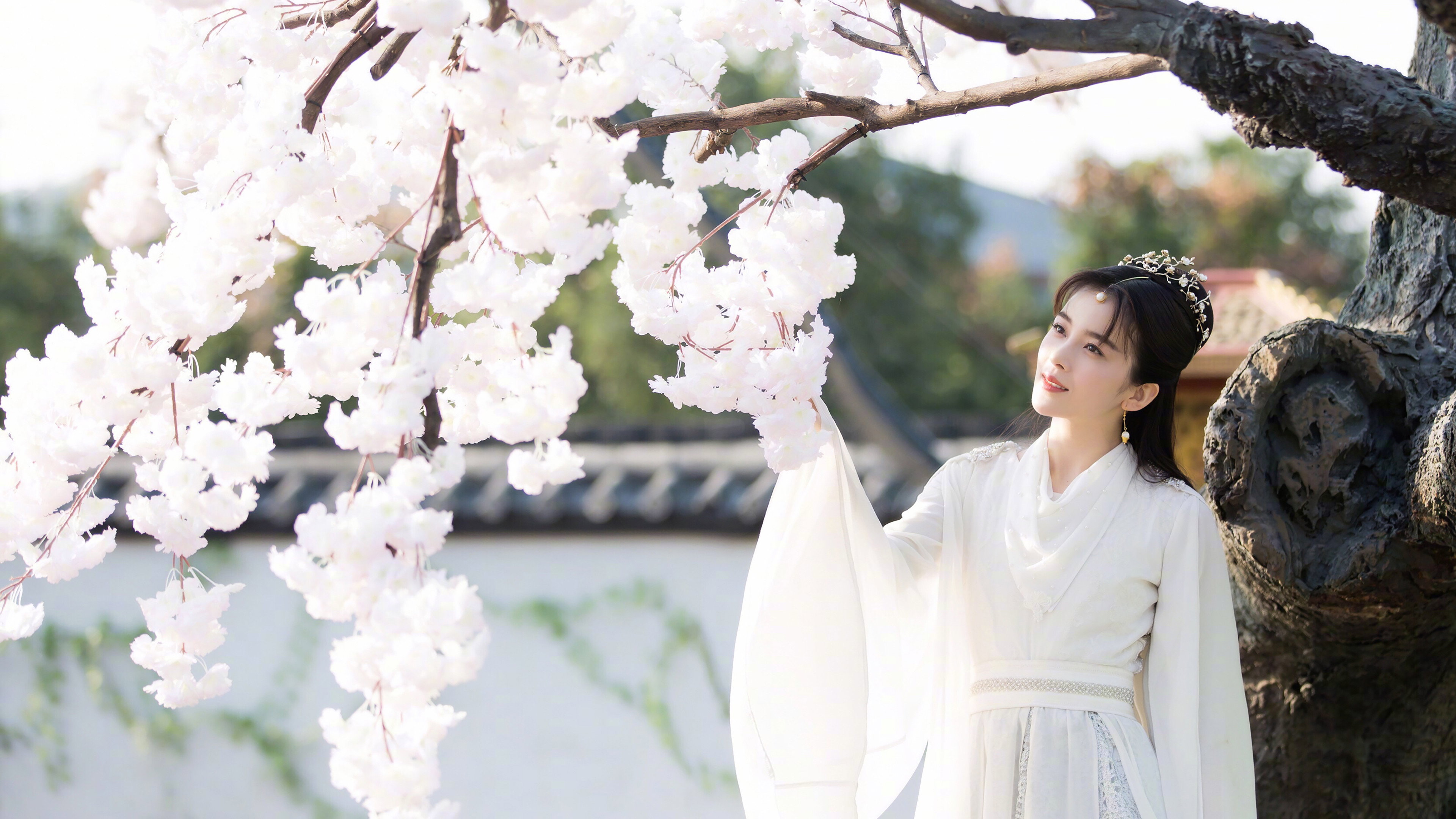 bg-image-high-res