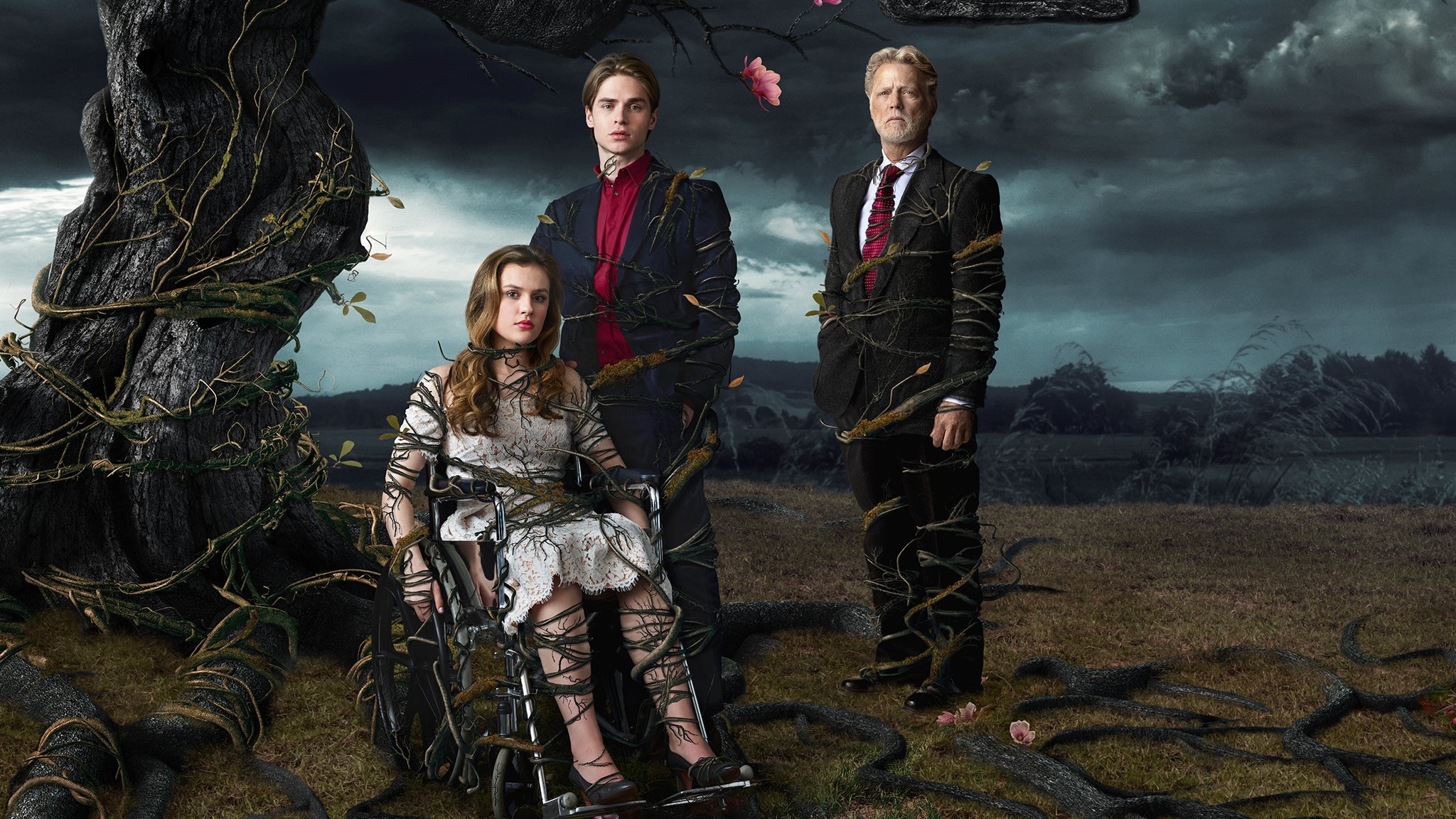 bg-image-high-res