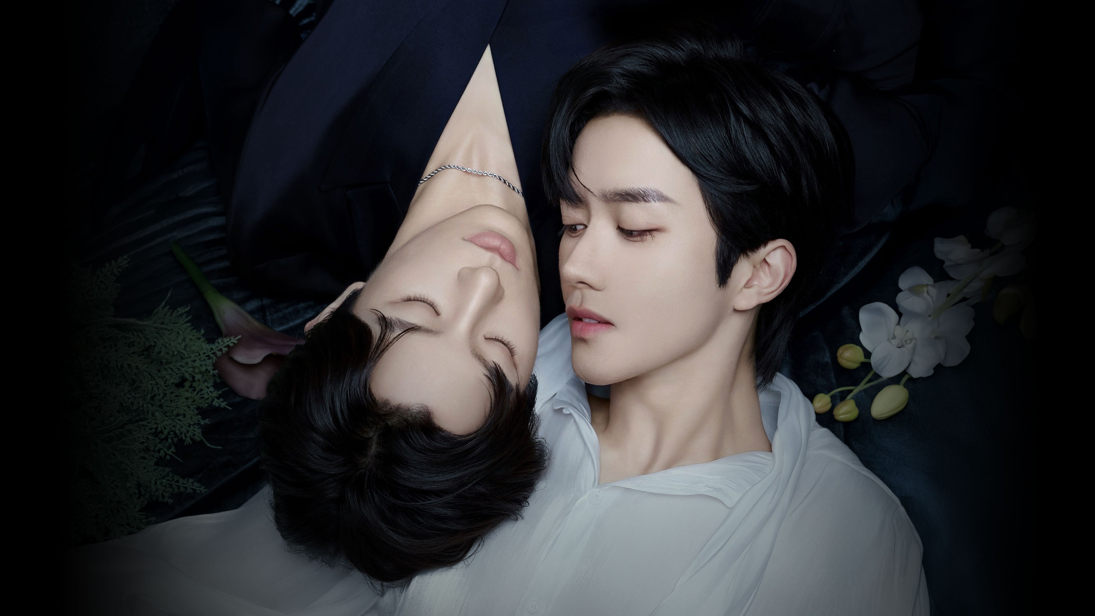bg-image-high-res