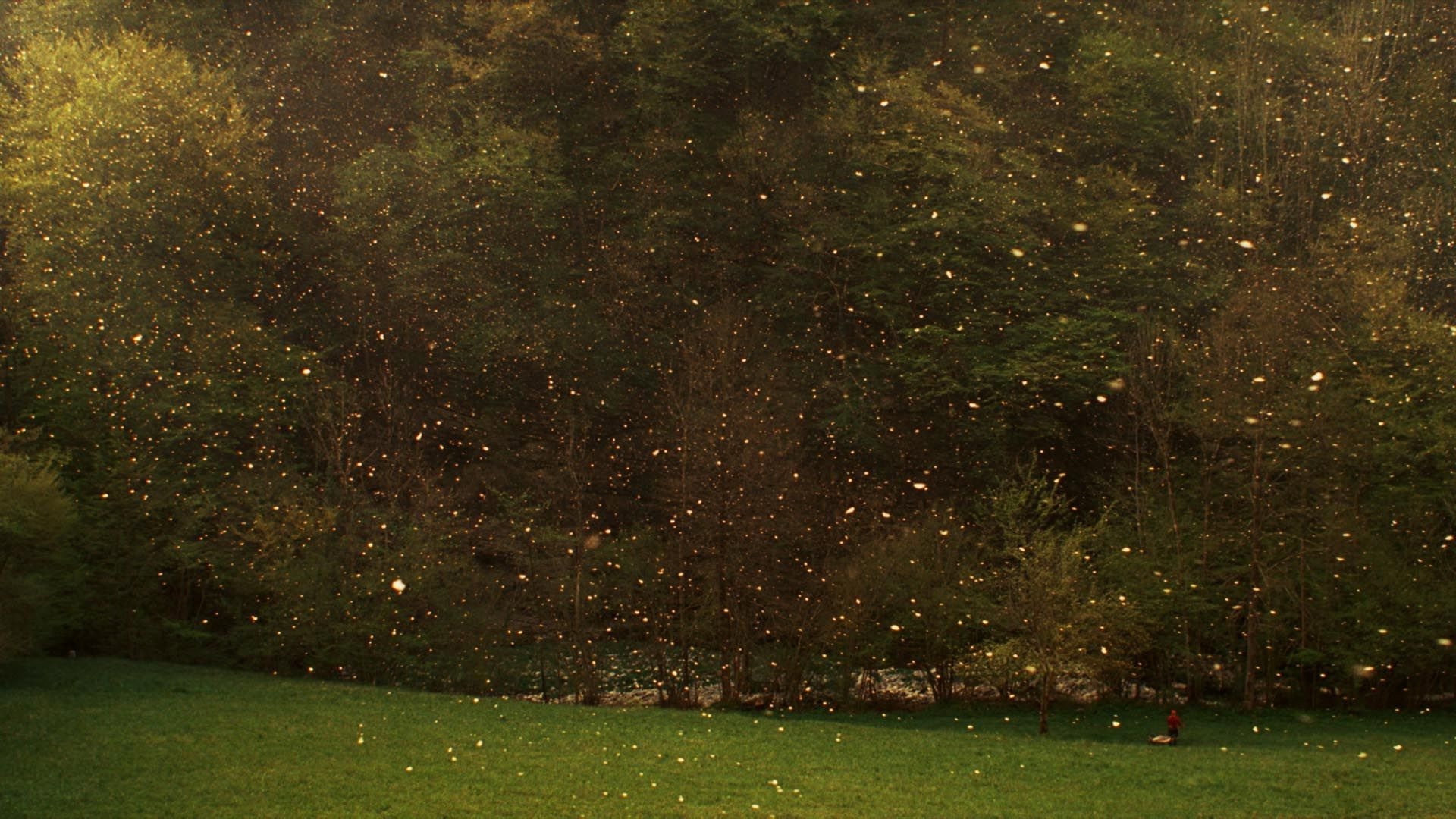bg-image-high-res