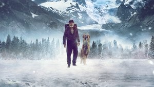 bg-image-low-res