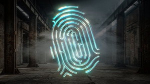 bg-image-low-res