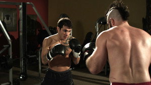 bg-image-low-res