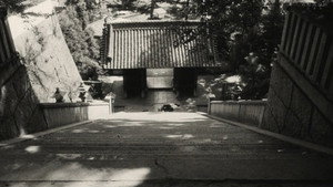 bg-image-low-res