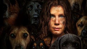 bg-image-low-res