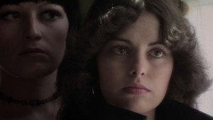 bg-image-low-res