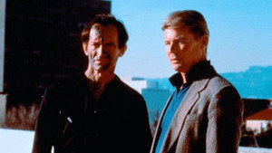 bg-image-low-res