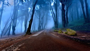 bg-image-low-res