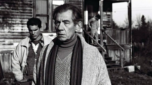 bg-image-low-res