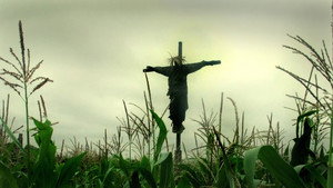 bg-image-low-res