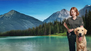 bg-image-low-res