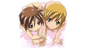 bg-image-low-res