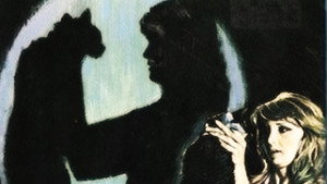 bg-image-low-res