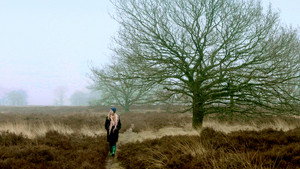 bg-image-low-res