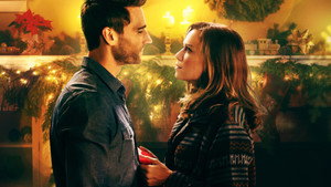 bg-image-low-res