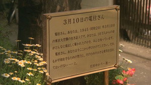 bg-image-low-res