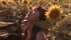 bg-image-low-res
