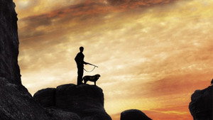 bg-image-low-res