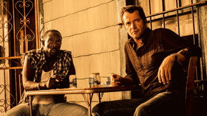 bg-image-low-res
