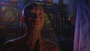 bg-image-low-res