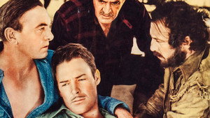 bg-image-low-res
