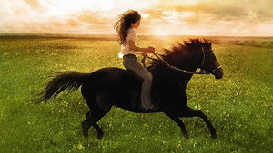 bg-image-low-res