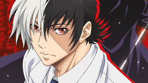 bg-image-low-res