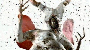 bg-image-low-res