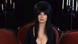 bg-image-low-res
