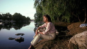 bg-image-low-res