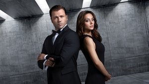 bg-image-low-res