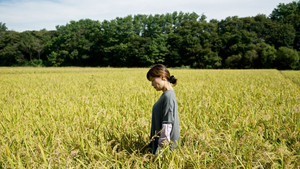 bg-image-low-res