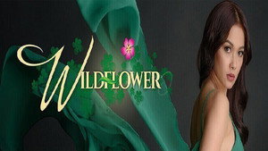 bg-image-low-res