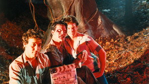 bg-image-low-res
