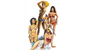 bg-image-low-res