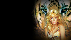 bg-image-low-res