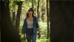 bg-image-low-res