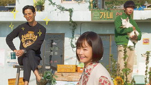 bg-image-low-res