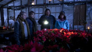 bg-image-low-res