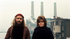 bg-image-low-res