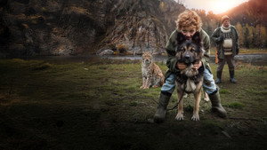 bg-image-low-res
