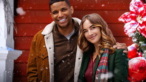 bg-image-low-res