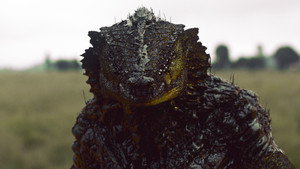 bg-image-low-res